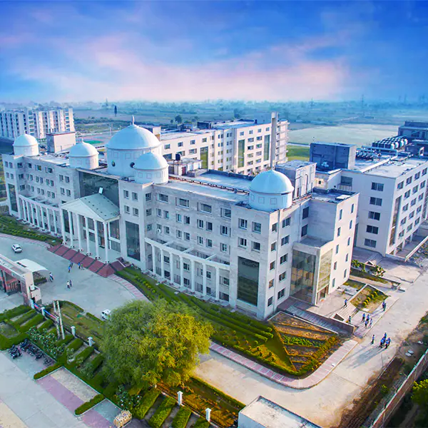 University